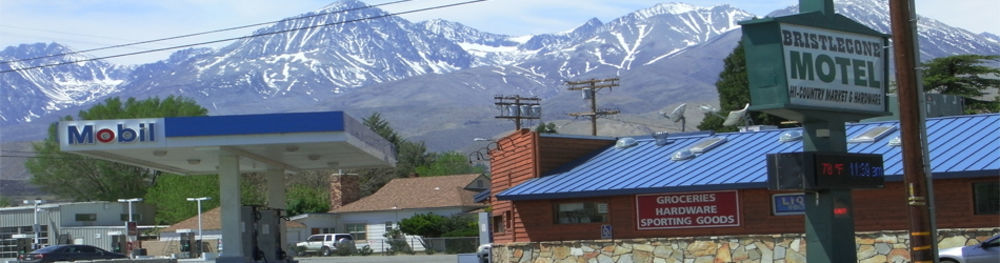 Bristlecone Motel 3*