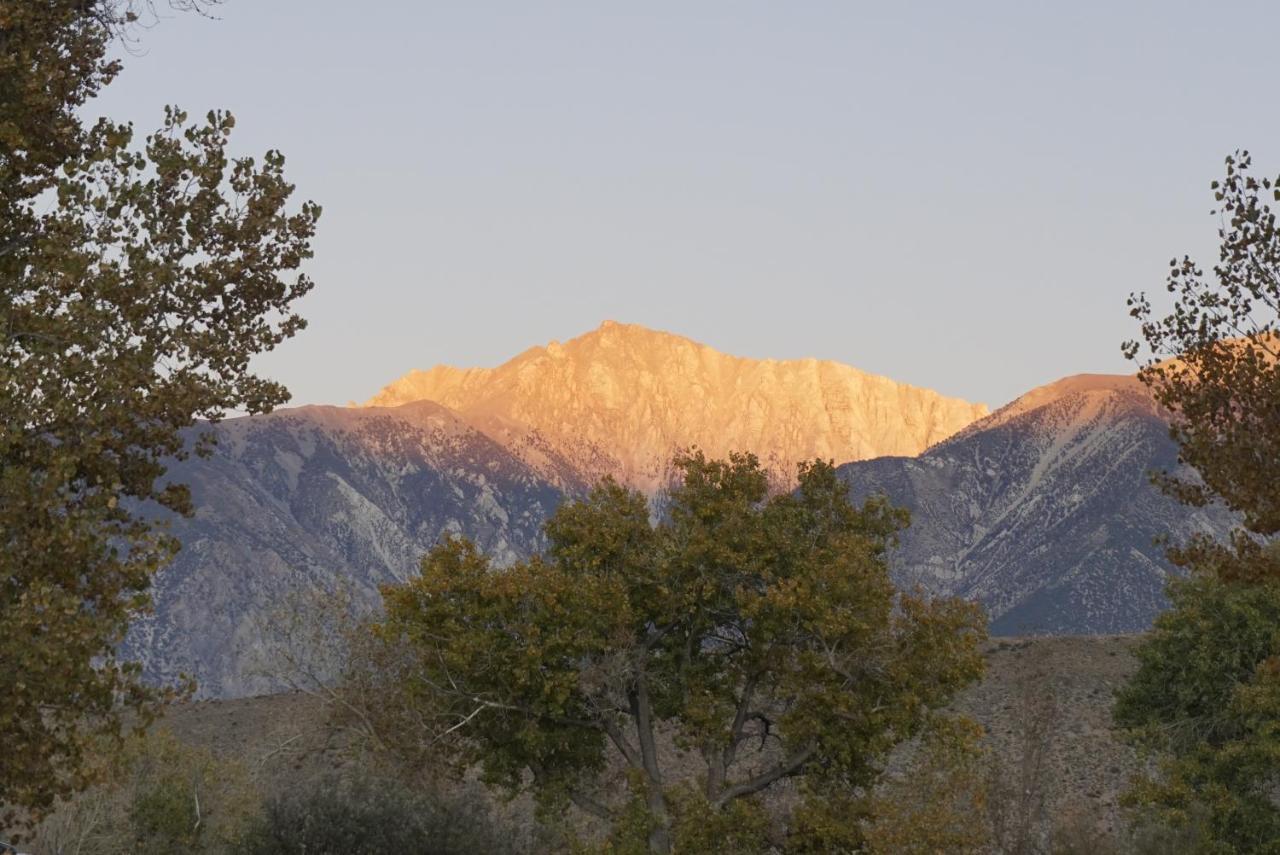 Bristlecone 3* Big Pine