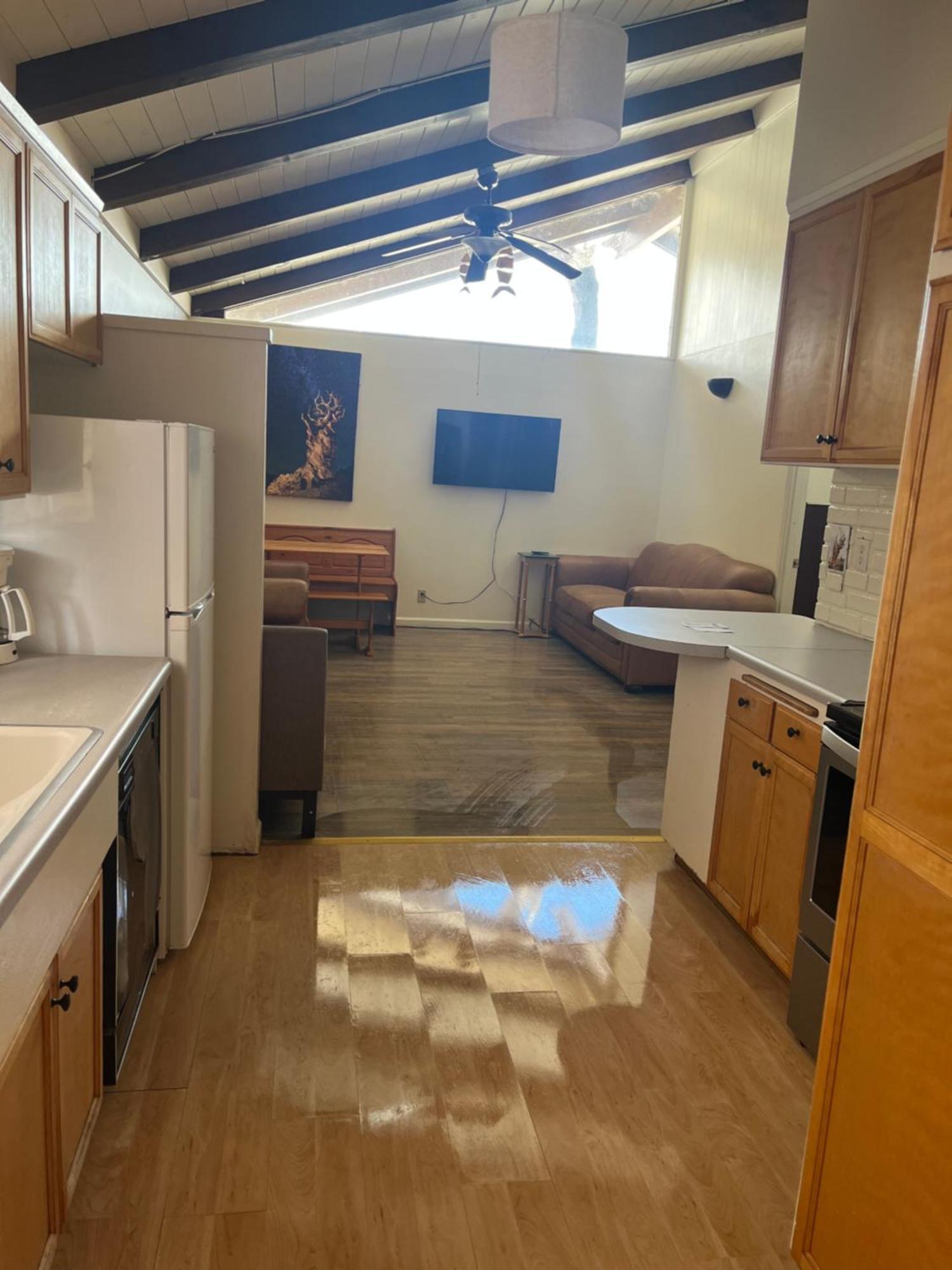 Motel Bristlecone